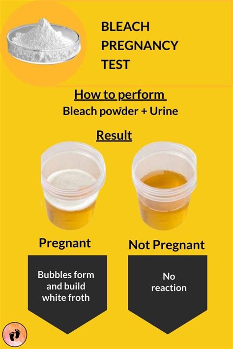 diy bleach pregnancy test